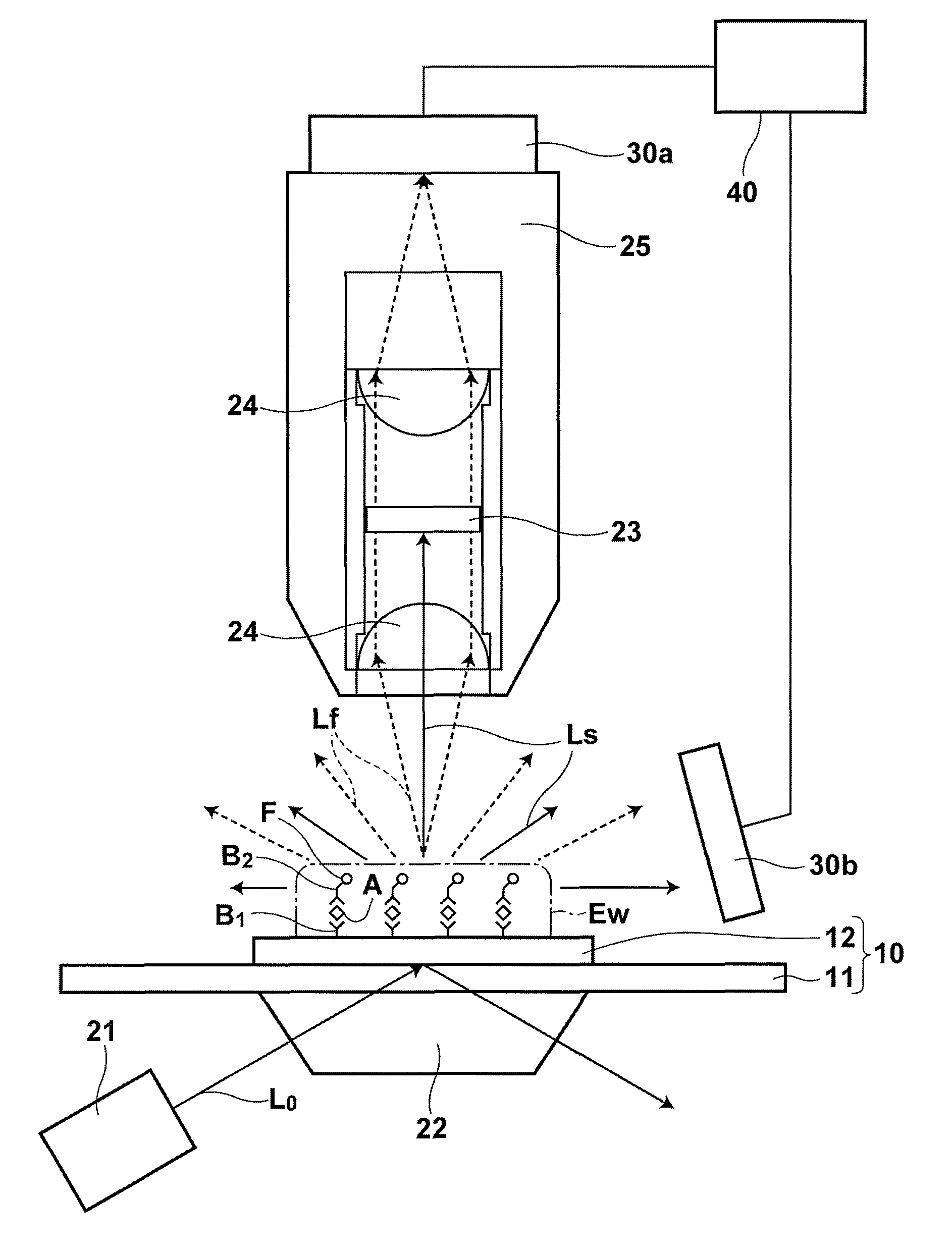 Fluorescence detecting method and fluorescence detecting apparatus