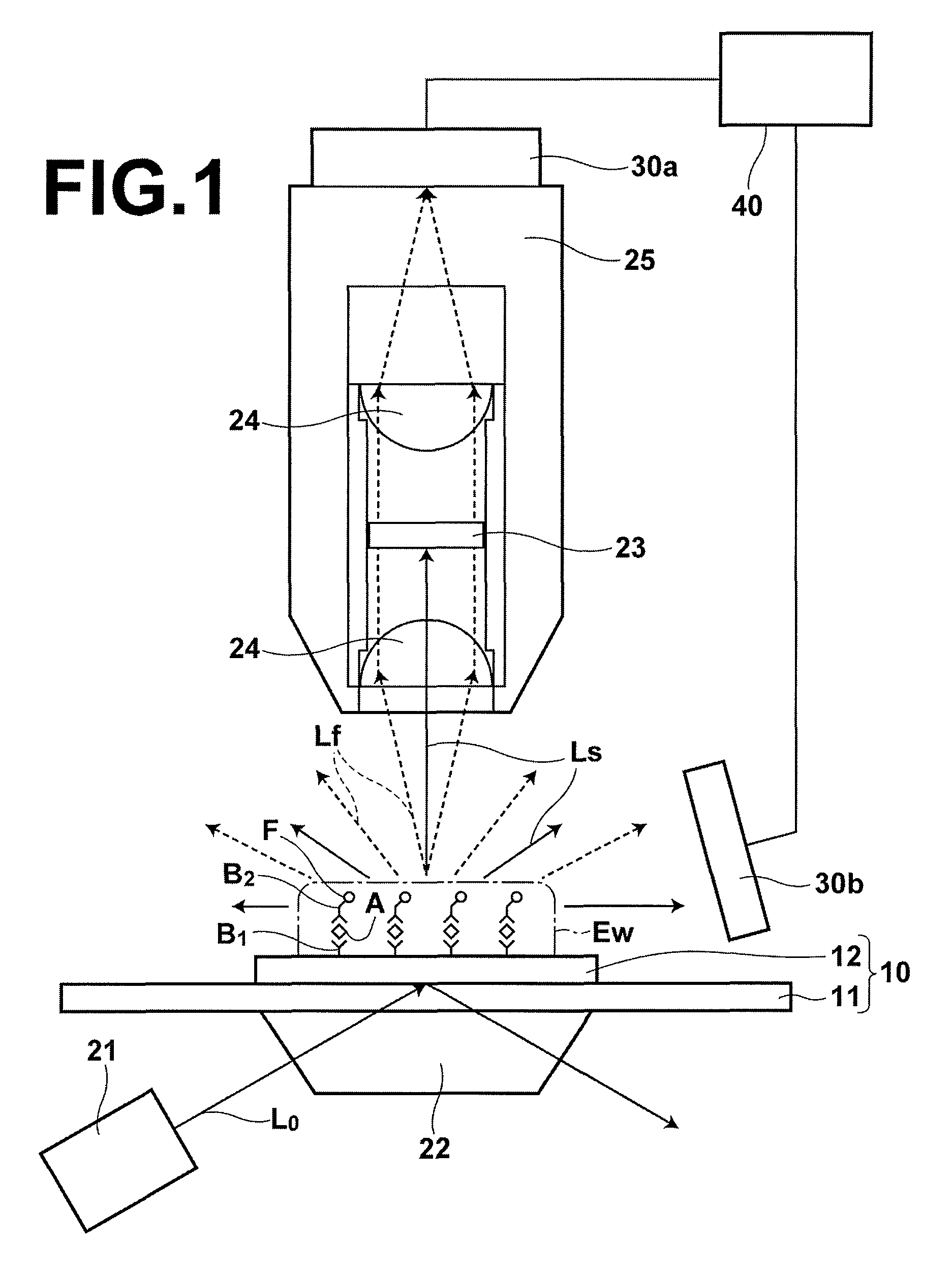 Fluorescence detecting method and fluorescence detecting apparatus