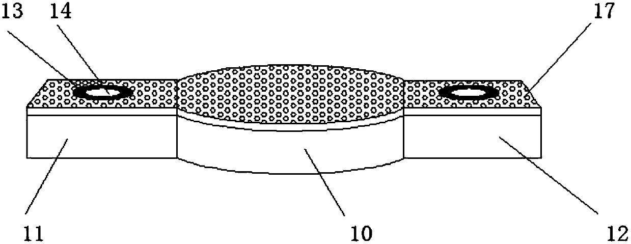 Fluorescent insect-repelling lampholder convenient to mount for mining