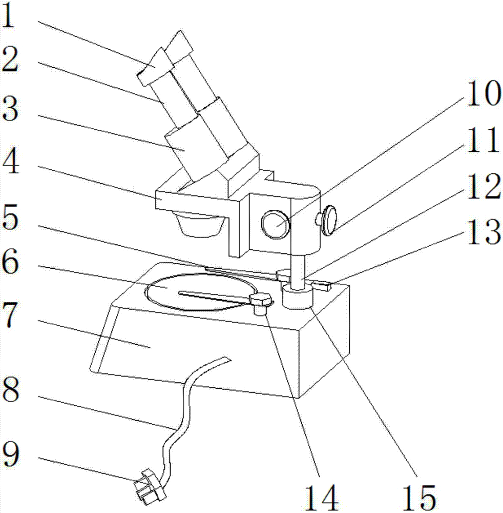 Binocular microscope with lighting function