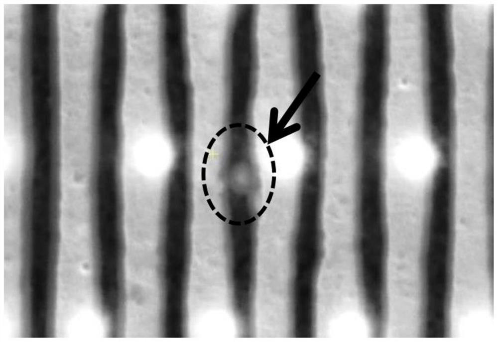 Method for improving copper precipitation defects in aluminum wires