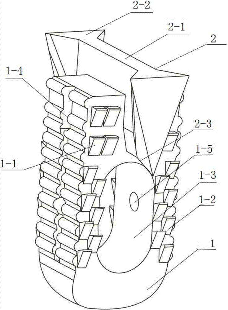 Mortise and tenon joint type thoracic and lumbar intervertebral fixator