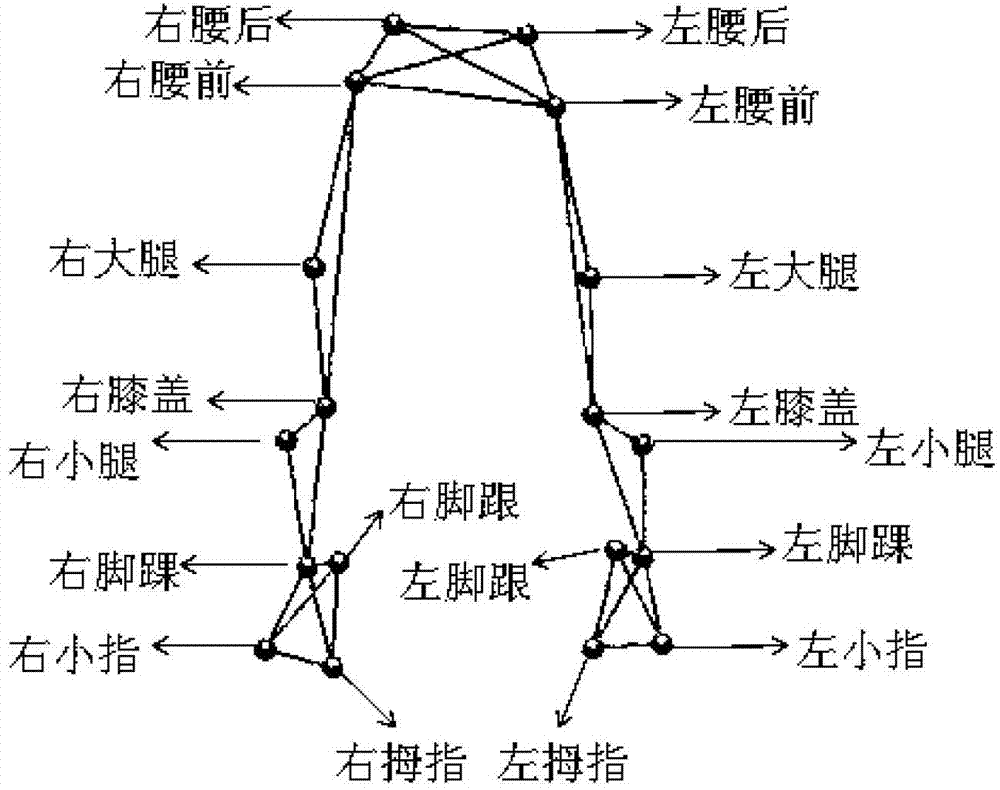 Method and system for acquiring three-dimensional human body motion in real time on line