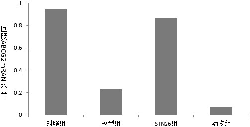 A kind of Streptococcus thermophilus stn26, bacterial powder and application in uric acid lowering product