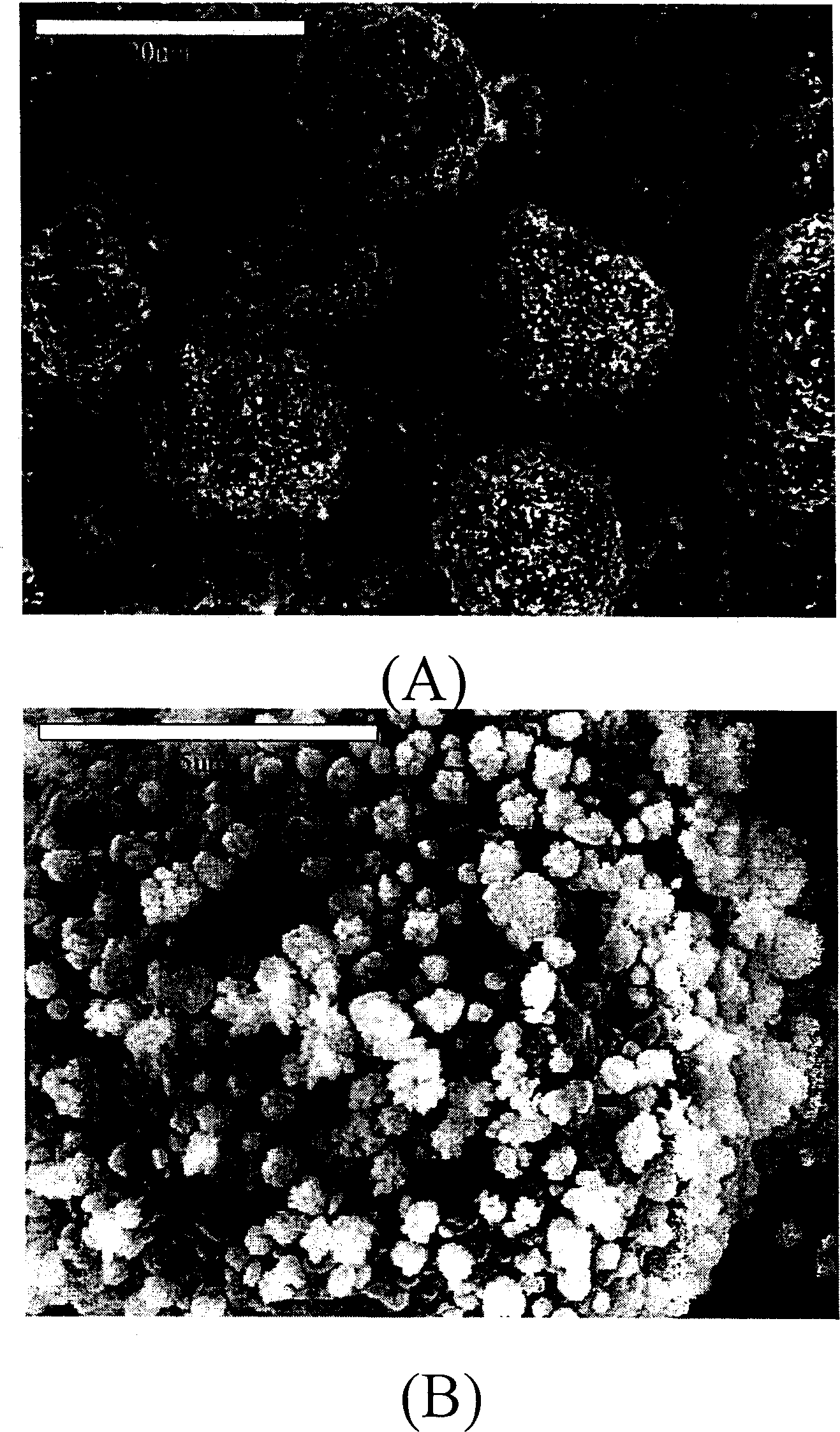 Secondary lithium cell having negative pole of carbon with deposited nanomter alloy on its surface