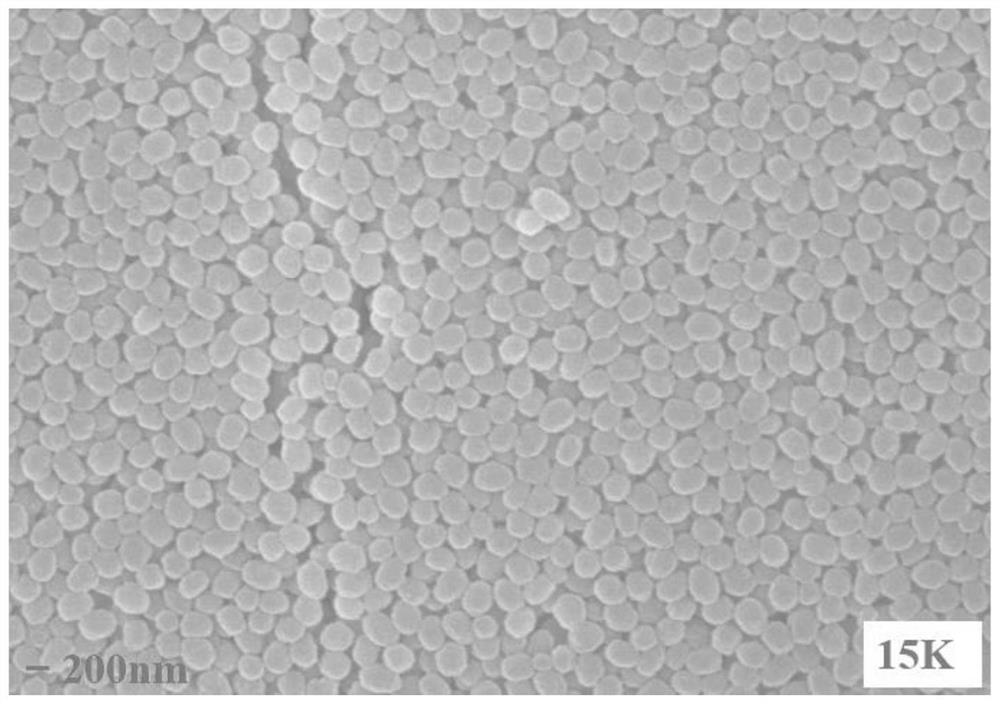 Hierarchical pore monolithic molecular sieve catalyst and preparation method and application thereof