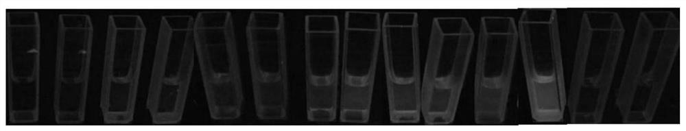 Preparation method of polyvinylpyrrolidone-copper nanoclusters, product and application