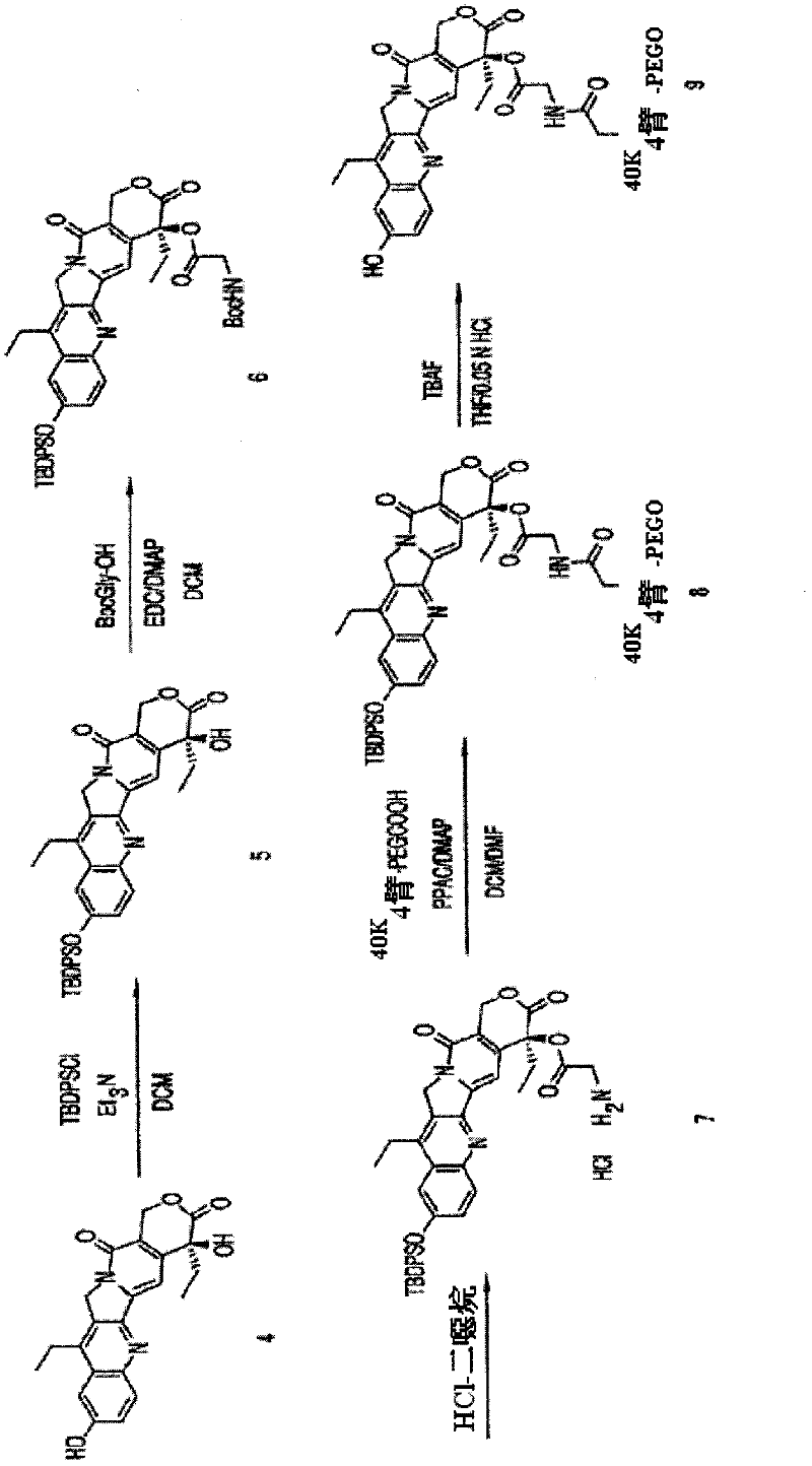 Methods for inhibiting angiogenesis with multi-arm polymeric conjugates of 7-ethyl-10-hydroxycamptothecin