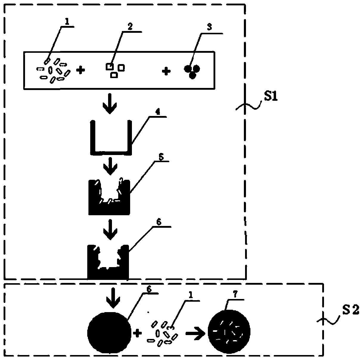 Bacterial or fungal activity rapid detection method