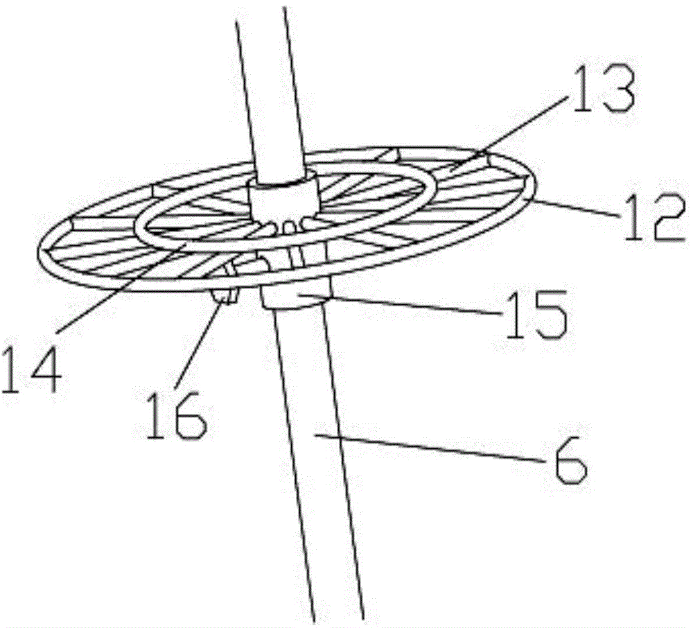 Glass tube containing rack