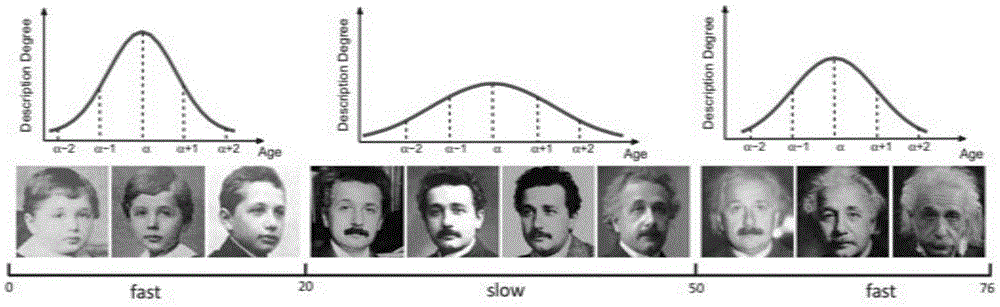 Semi-supervised age estimation device based on faces and semi-supervised age estimation method based on faces