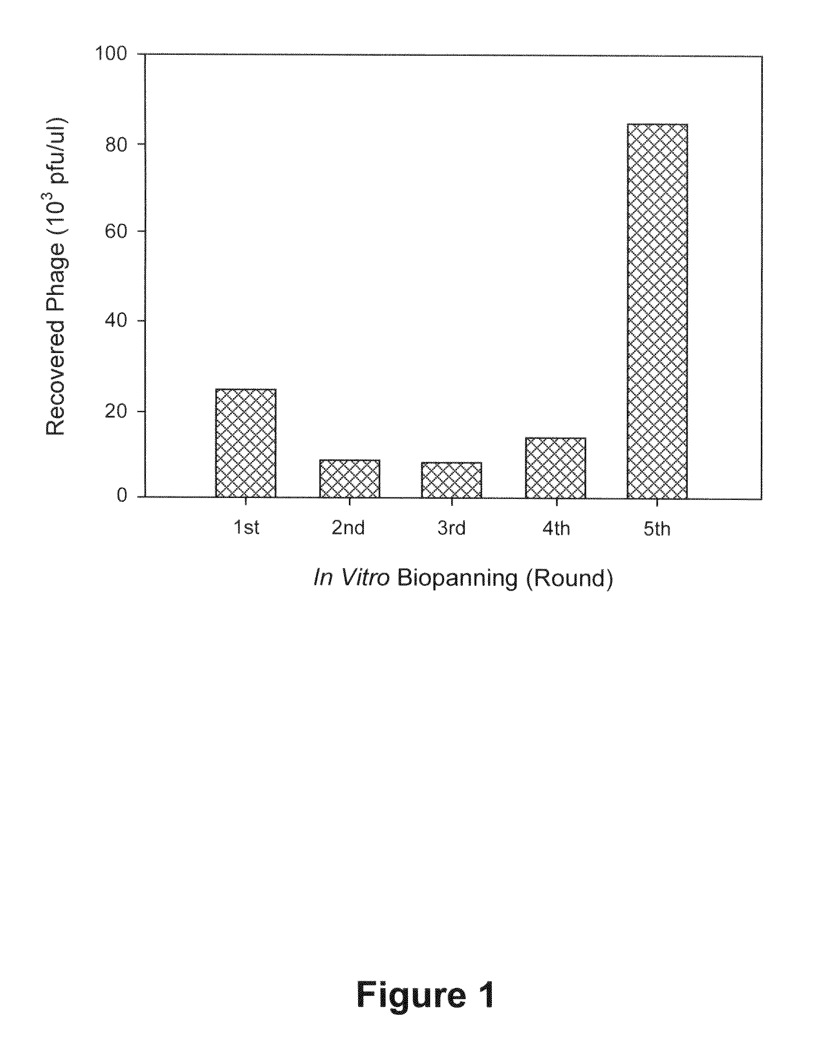 Peptides specific for hepatocellular carcinoma cells and applications thereof