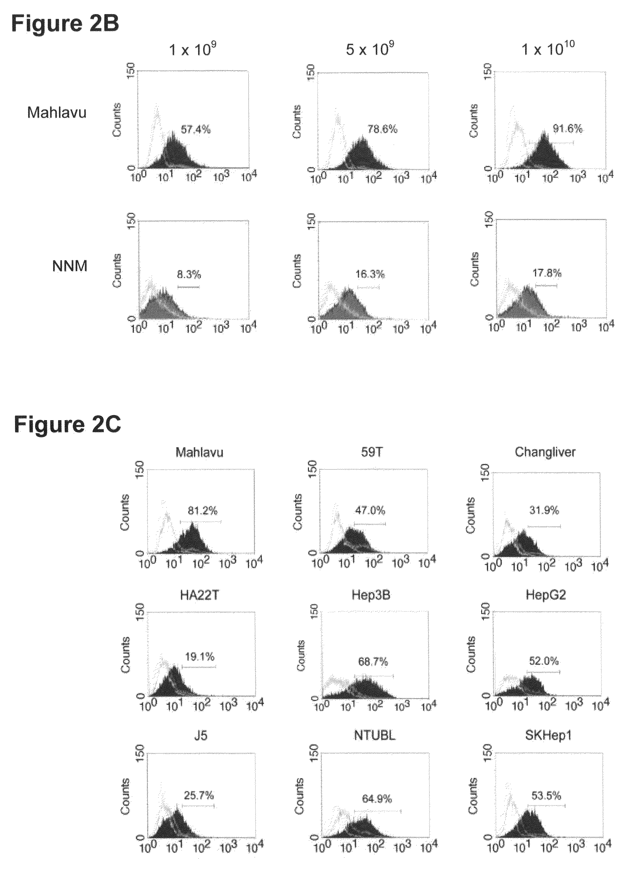 Peptides specific for hepatocellular carcinoma cells and applications thereof