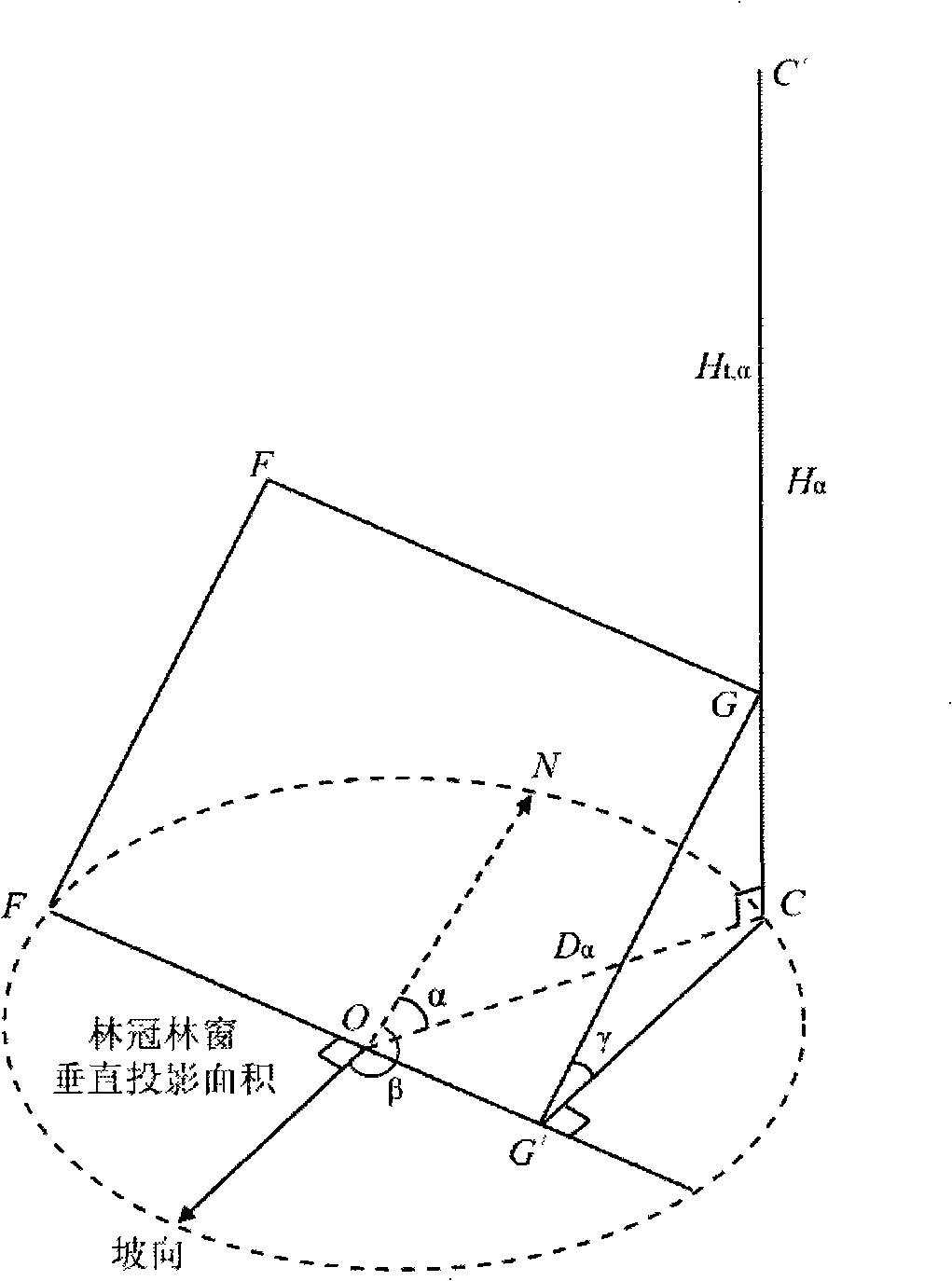 Method for measuring three-dimensional structure of forest gap