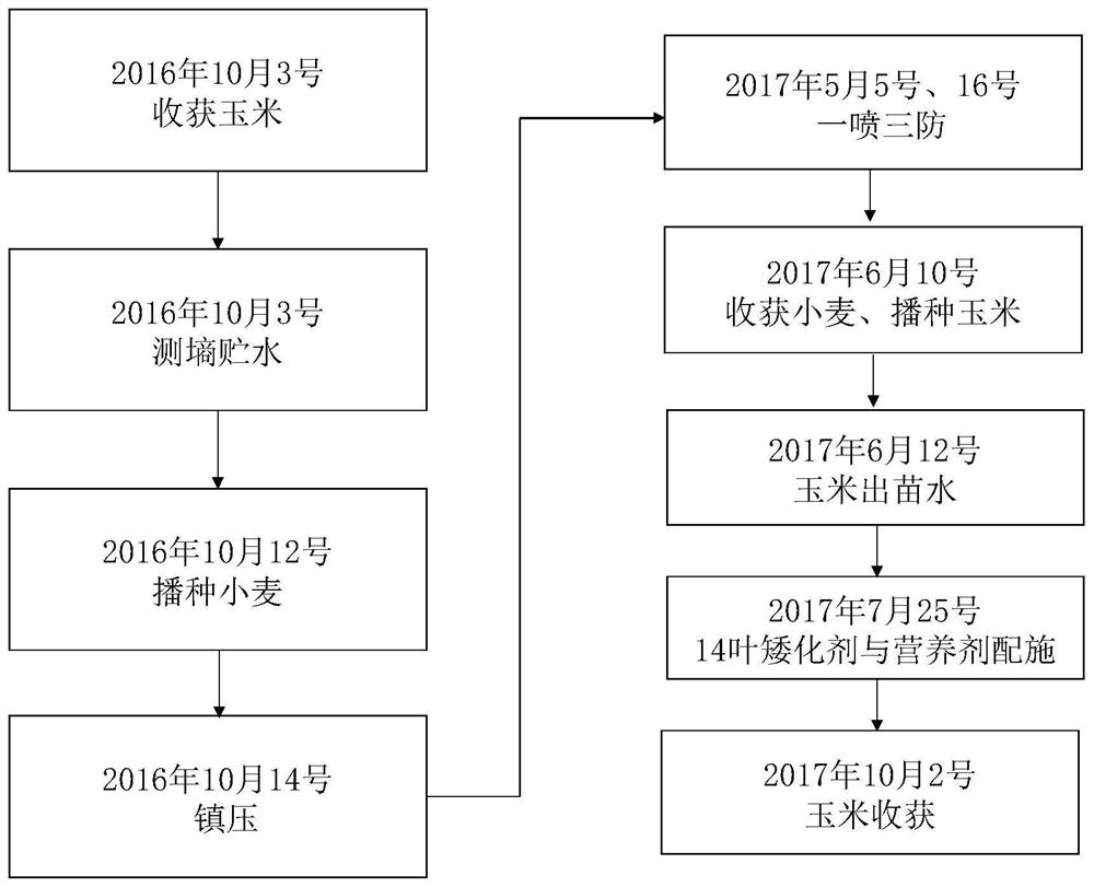 Simplified water-saving cultivation method based on northern China winter wheat-summer corn rotation planting system