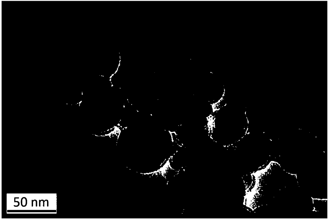 Dealkalized endonuclease magnetic molecular imprinting nano-particles as well as preparation method and application thereof