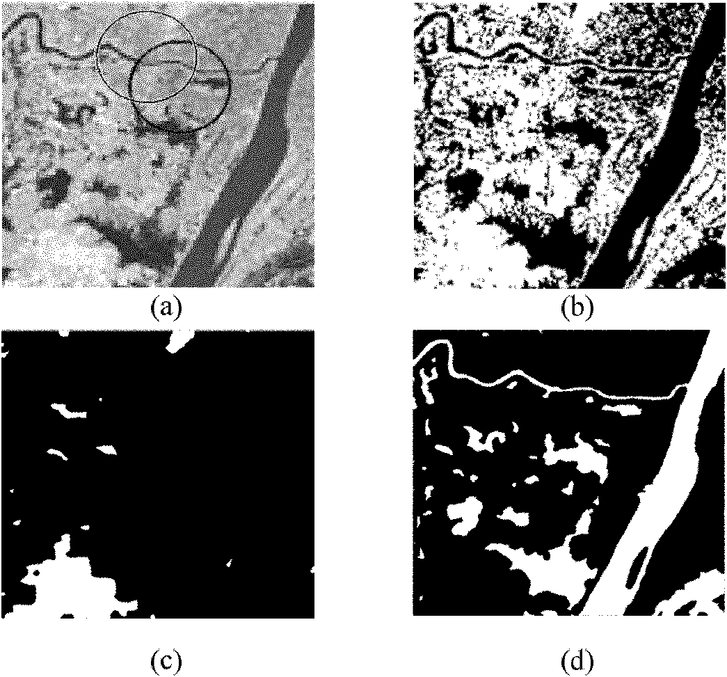 Multiresolution and multiregion variational level set image segmentation method