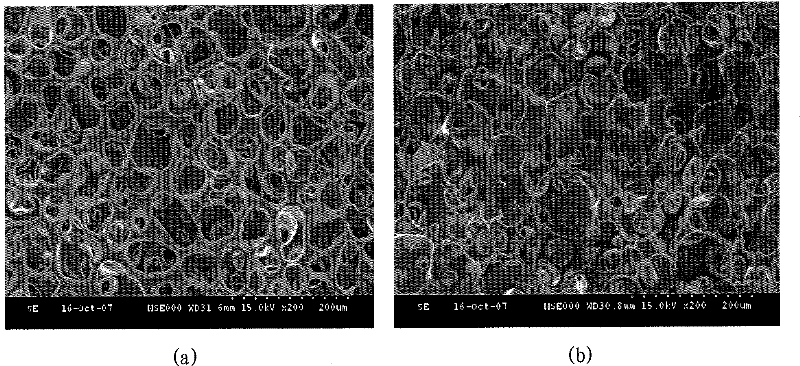 A kind of preparation method of hydrophilic polymer microporous filter material