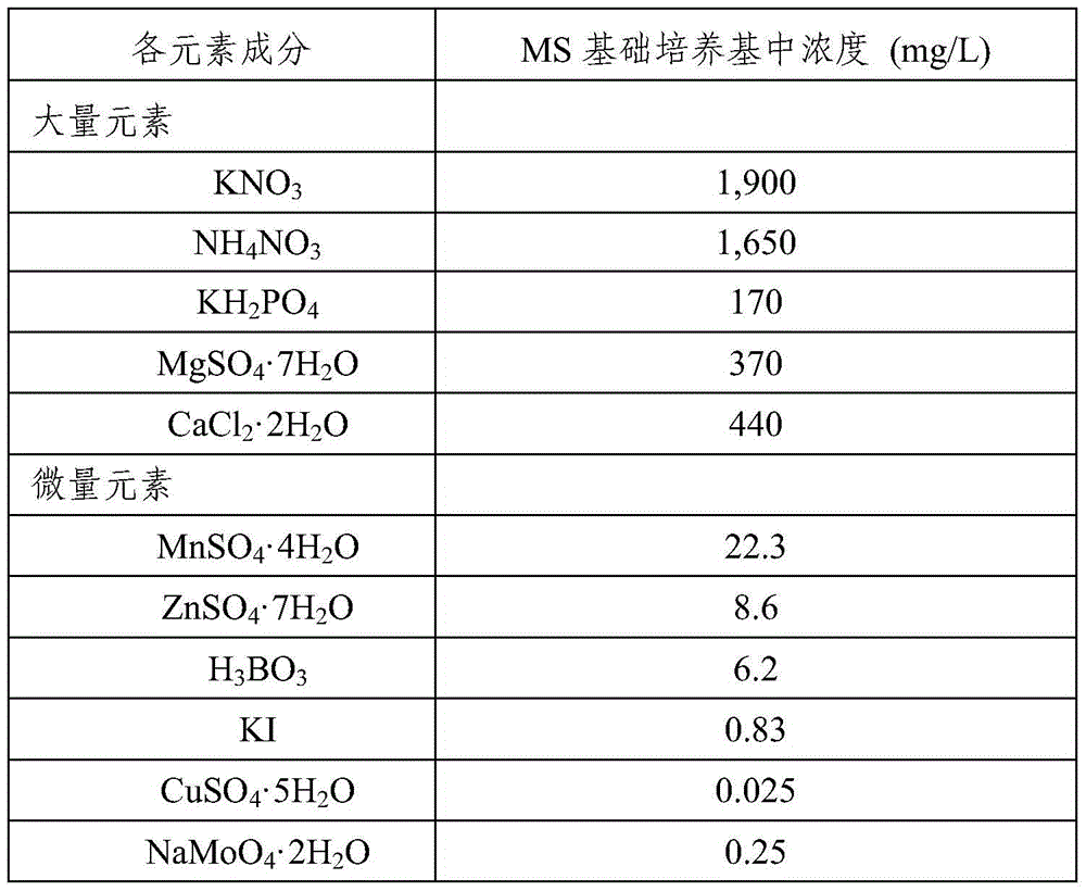 Rice callus differentiation culture medium as well as preparation method and application thereof