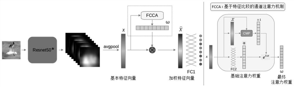 A Fine-grained Image Recognition Method Based on Feature Comparison and Channel Attention Mechanism