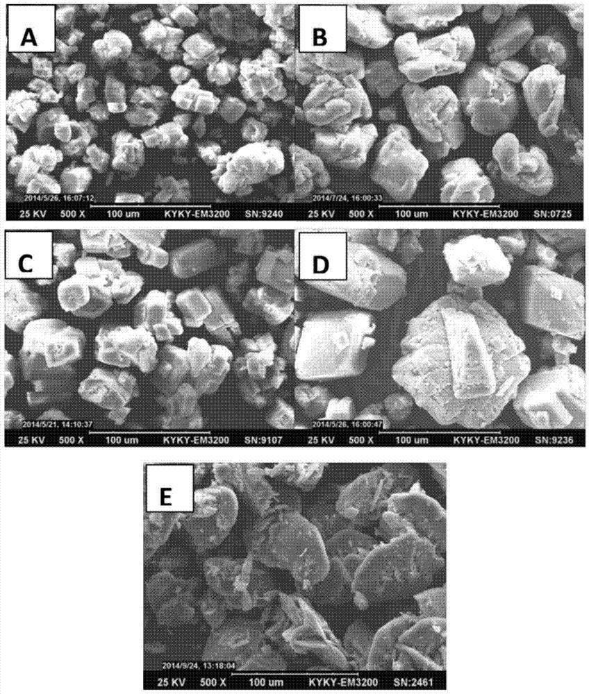 Gradient-doped manganese iron oxalate precursor and preparation method thereof