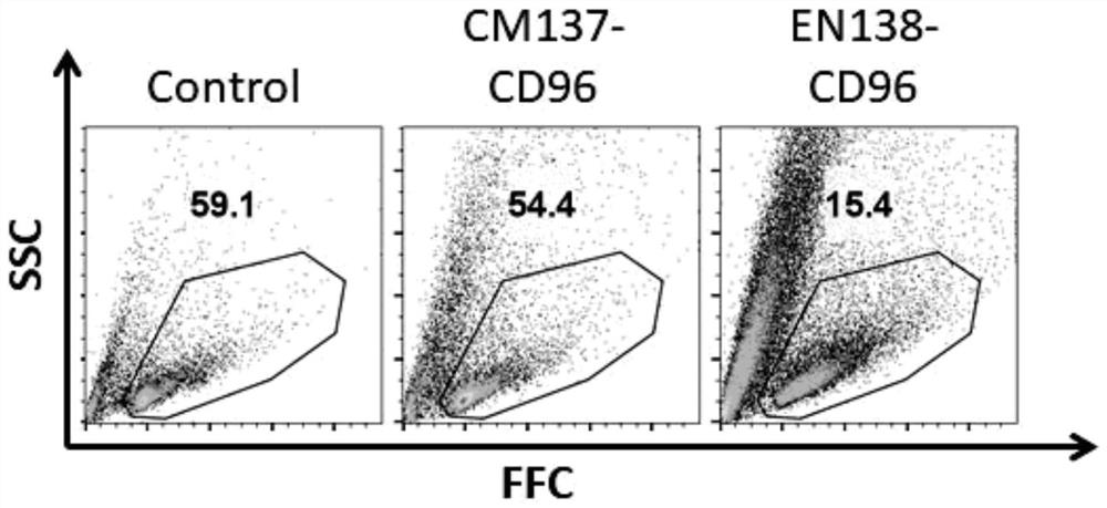 Method for efficiently knocking out CD96 gene in NK cell