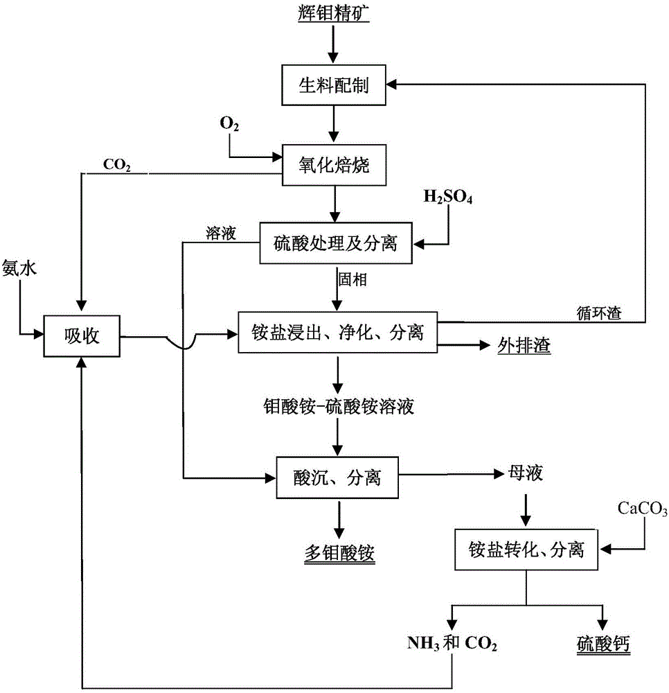 Clean metallurgical system for preparing ammonium molybdate from molybdenite concentrate