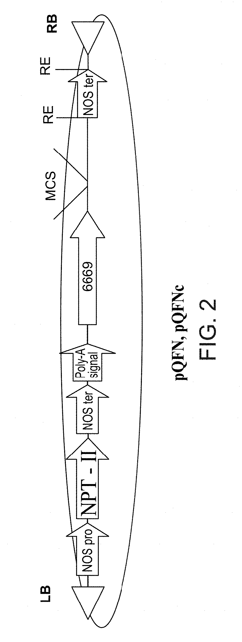 Isolated polynucleotides and polypeptides, and methods of using same for increasing nitrogen use efficiency of plants