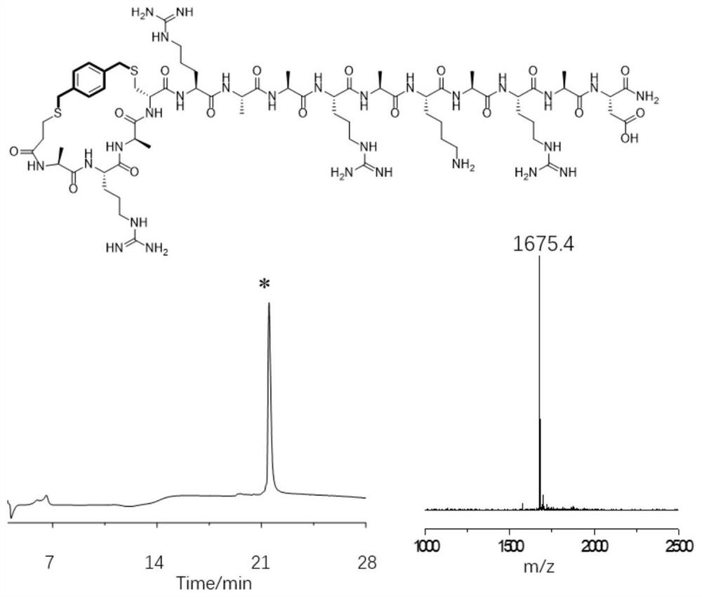 Polypeptide helical conformation stabilizing method