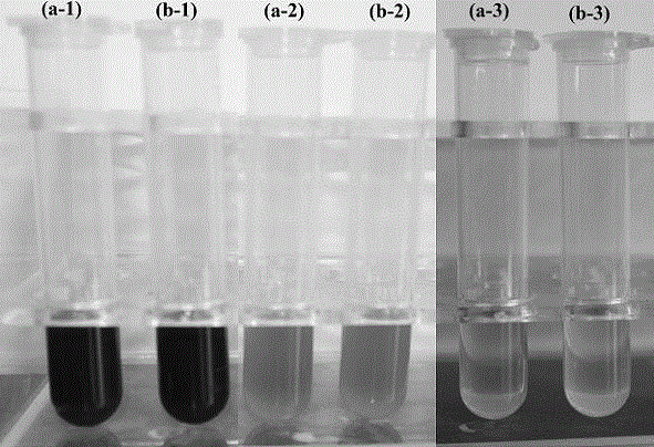 Adsorbent for removing petroleum pollutants in environmental water samples and preparation method thereof