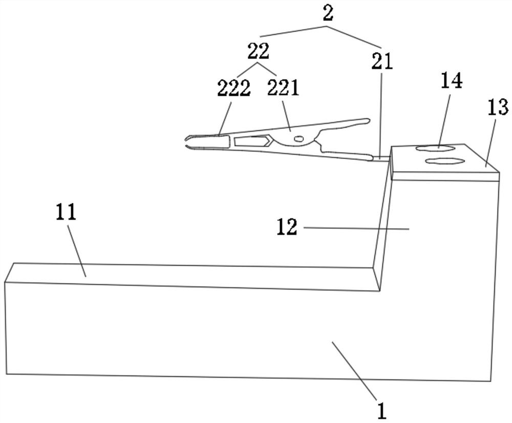 Fixed observation device for animal spinal nerve living body imaging and use method thereof