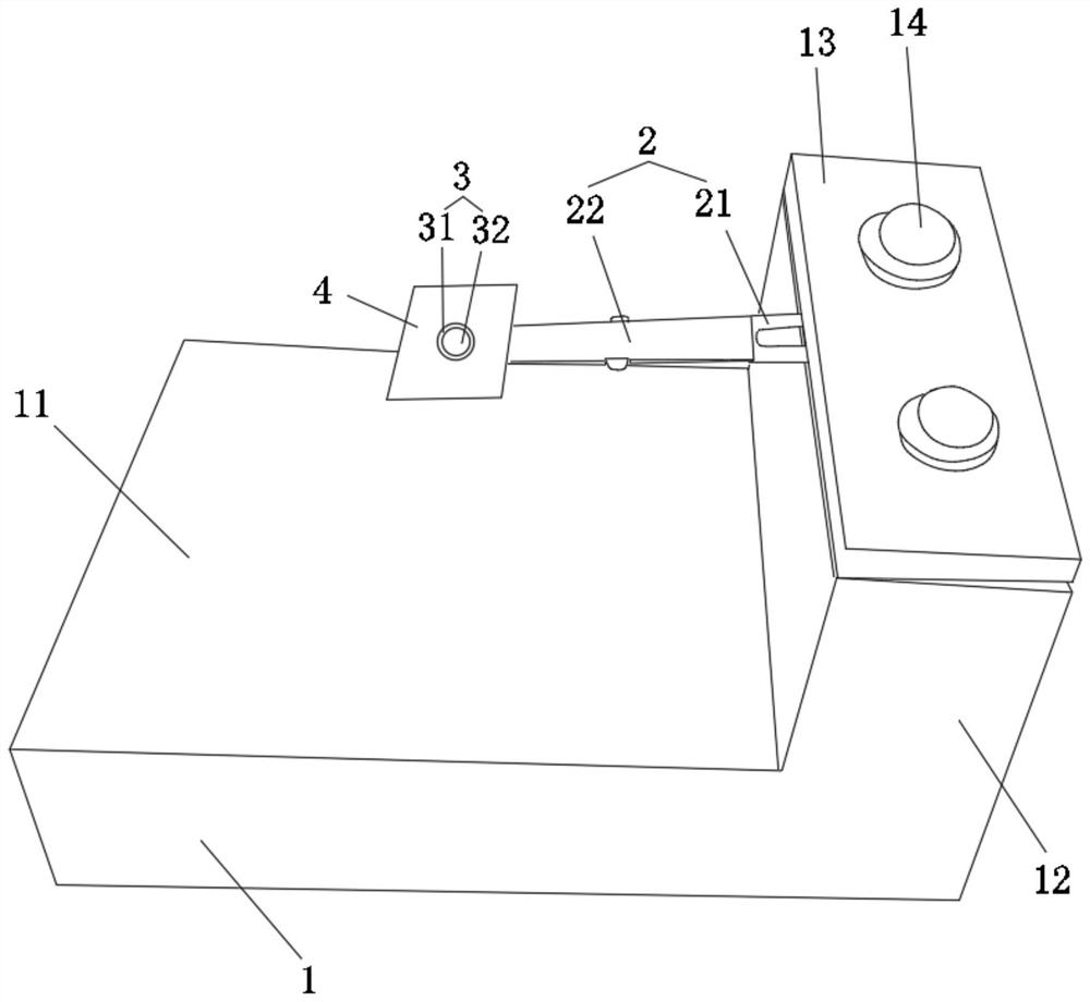 Fixed observation device for animal spinal nerve living body imaging and use method thereof