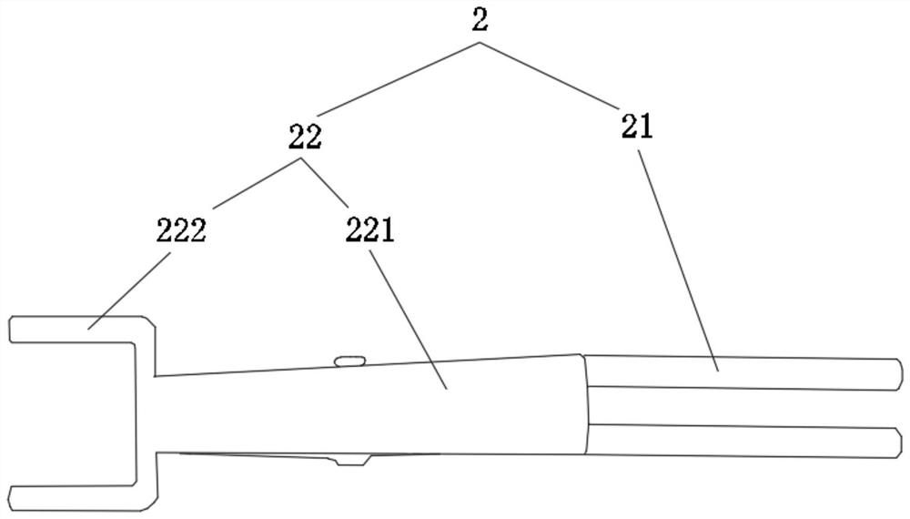 Fixed observation device for animal spinal nerve living body imaging and use method thereof