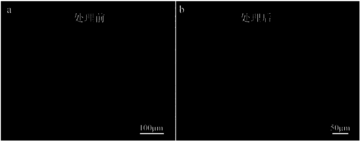 Method for improving pitting corrosion resistance and strength of stainless steel