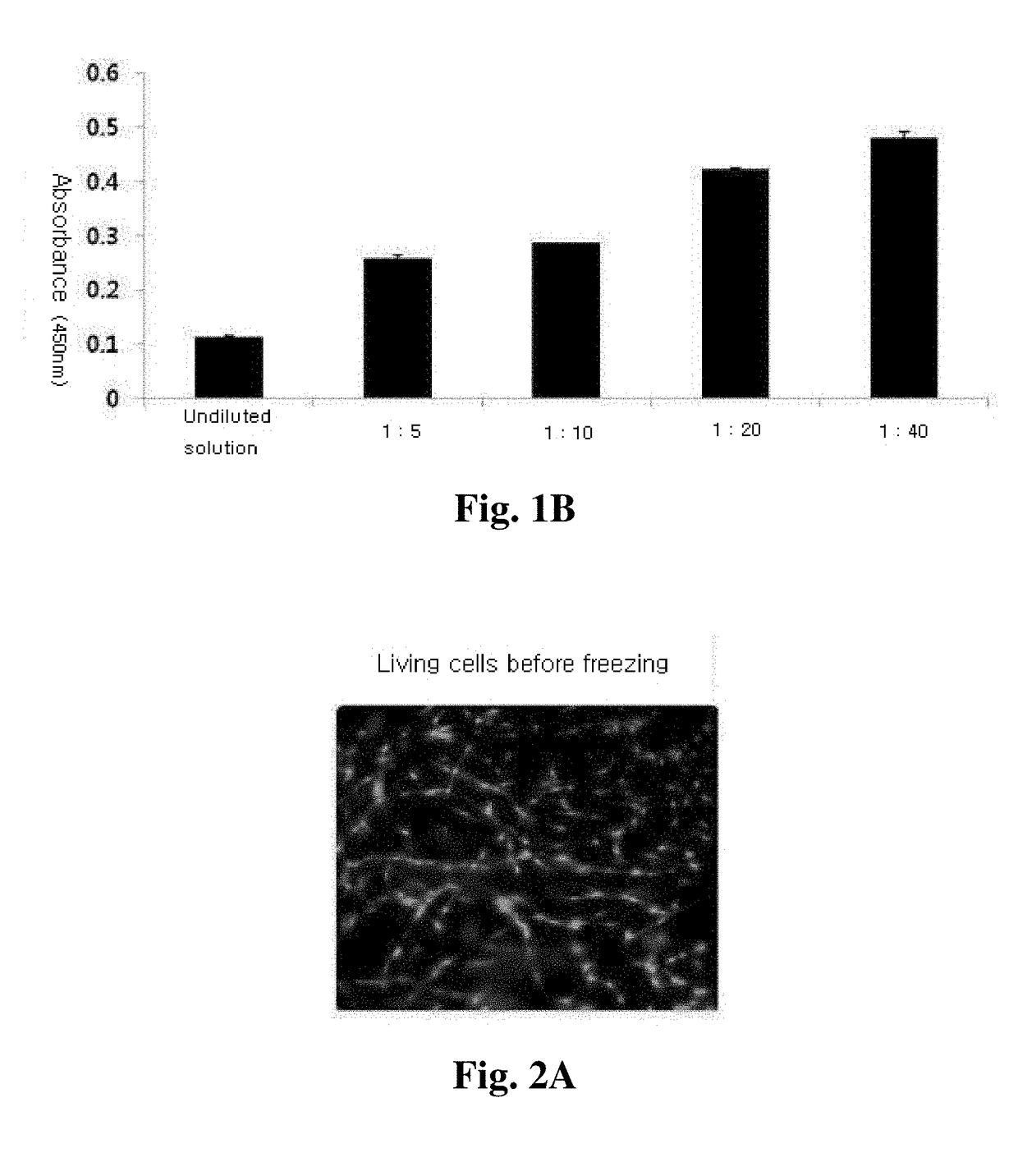 Mesenchymal stem cells-hydrogel-biodegradable or mesenchymal stem cells-hydrogel-nondegradable support composition for alleviating or improving epidermolysis bullosa