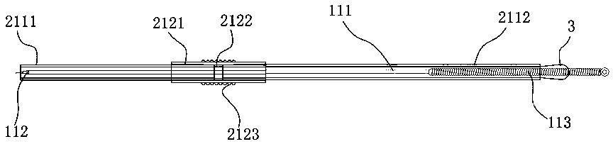 Auxiliary elongated needle assembly and acupuncture method thereof