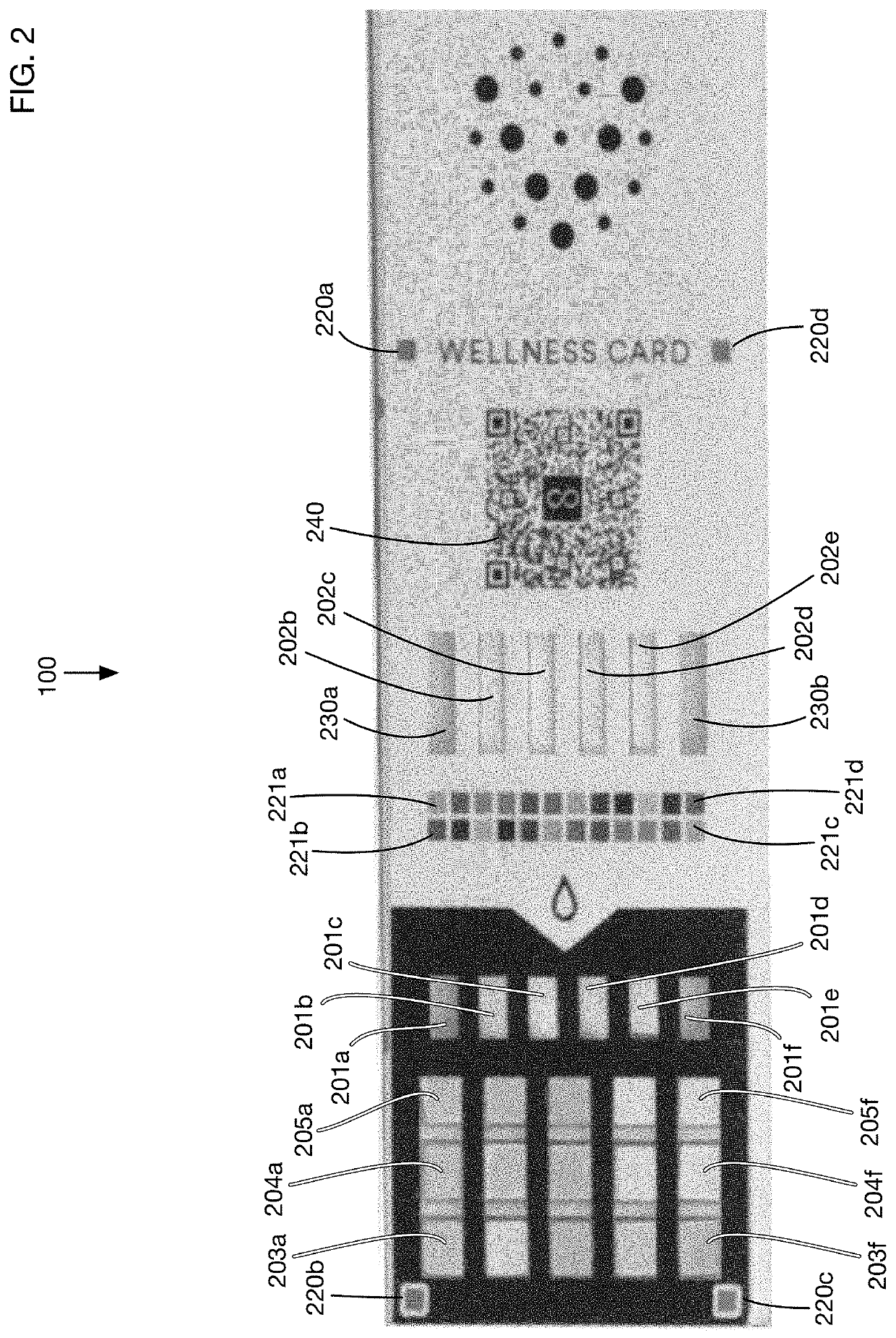 Multi-factor urine test system that adjusts for lighting and timing