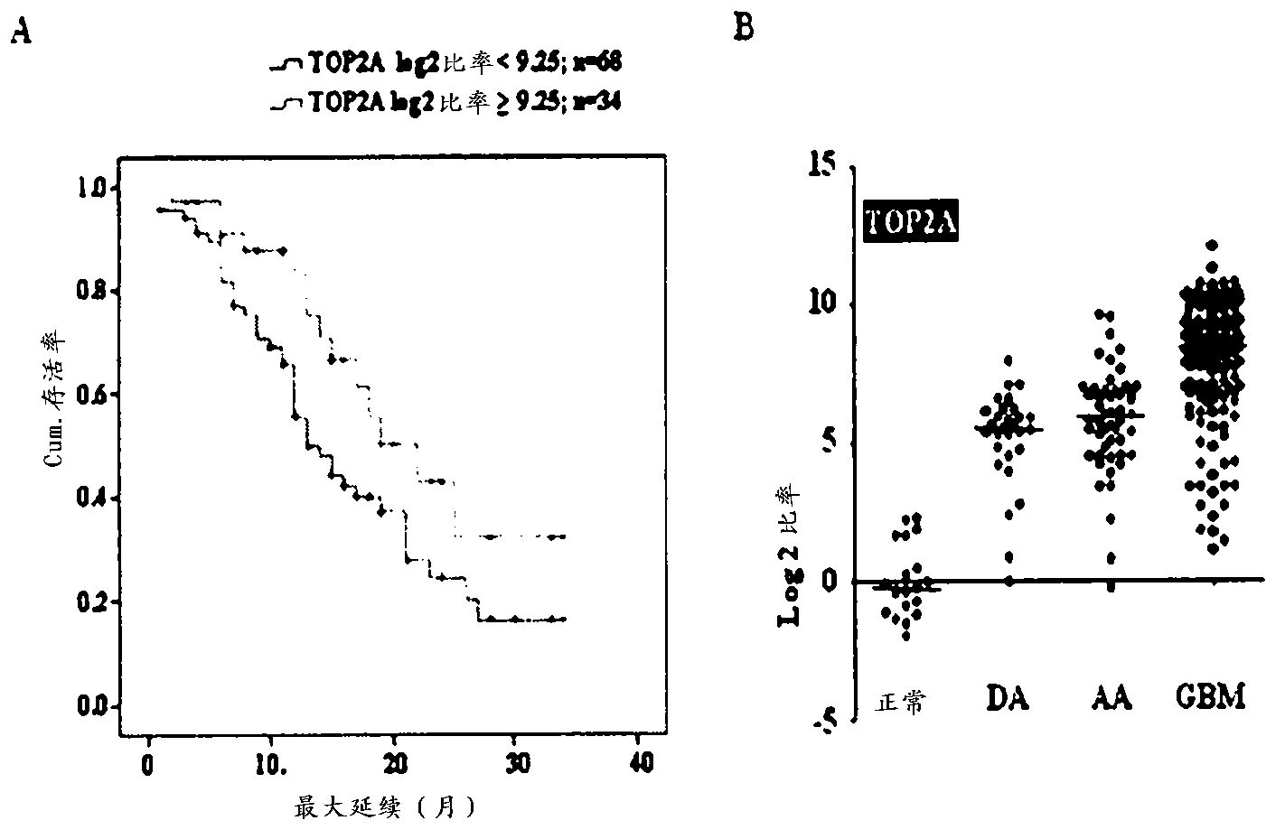 Top2a inhibition by temozolomide useful for predicting gbm patient's survival