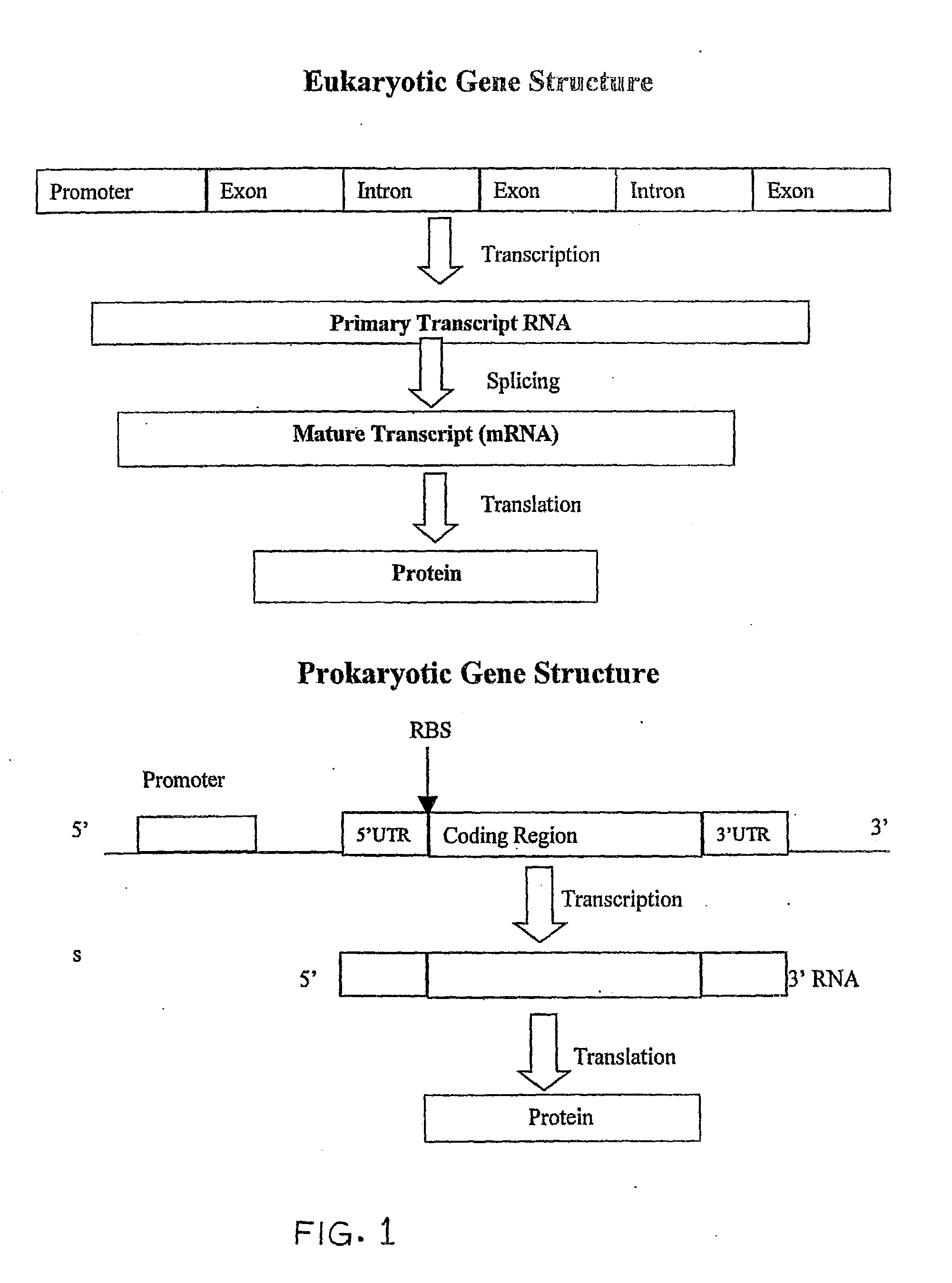 System and method for analysis of a DNA sequence by converting the DNA sequence to a number string and applications thereof in the field of accelerated drug design