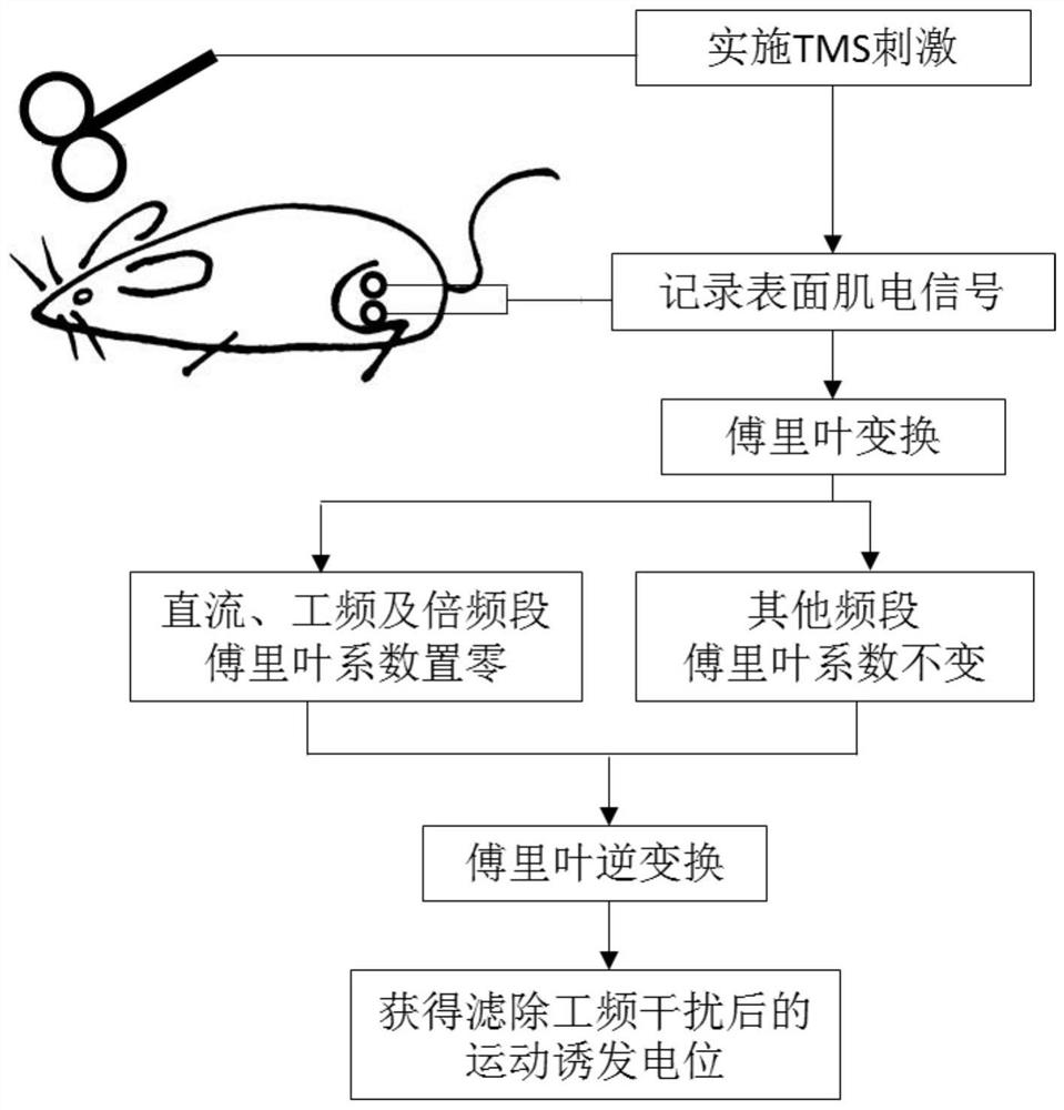 Power frequency filtering method to reduce the effect of tms electromagnetic pulse on motor evoked potentials in rats