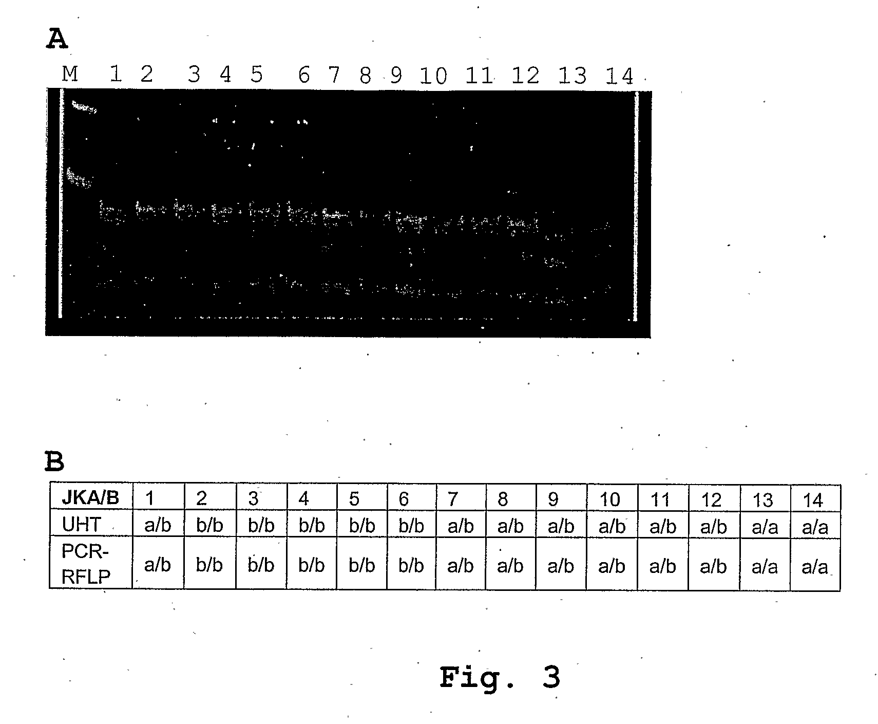 Method for the Simultaneous Determination of Blood Group and Platelet Antigen Genotypes