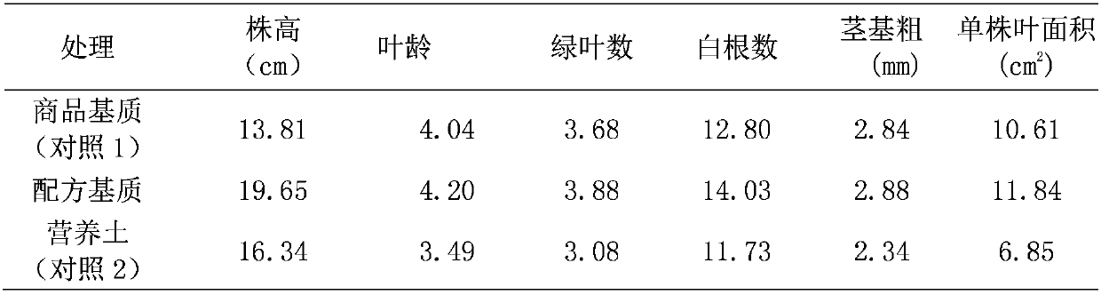 Special rice seedling raising medium for mechanically transplanting medium and large seedlings of hybrid non-glutinous rice, method for preparing special rice seedling raising medium and application thereof
