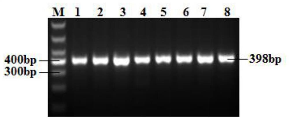 A Breeding Method for Analyzing Polygene Aggregation Effects of Improving Lamb Size in Goats