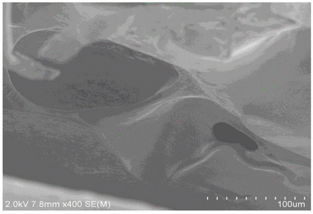 Gel film with curdlan quaternary ammonium salt and polyvinyl alcohol and antibacterial application of gel film