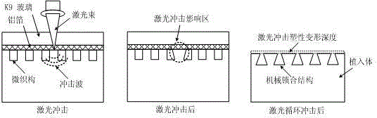 Method for Improving the Bonding Strength of Medical Biological Coating on the Surface of Medical Magnesium Alloy