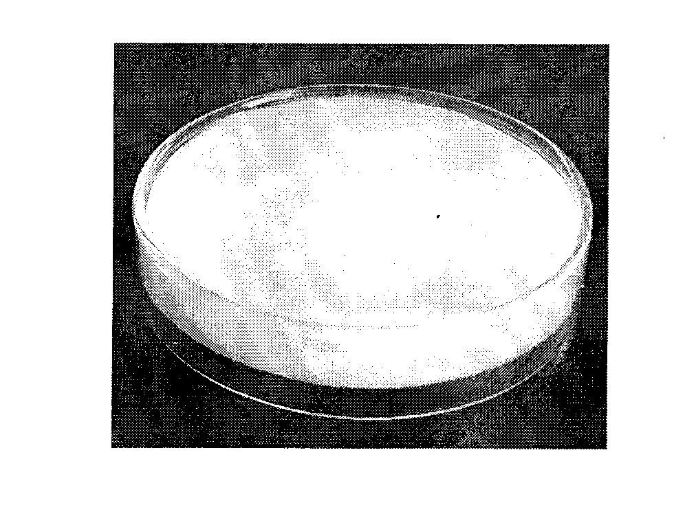 Cartilage derived collagen sponge scaffold and preparation method thereof