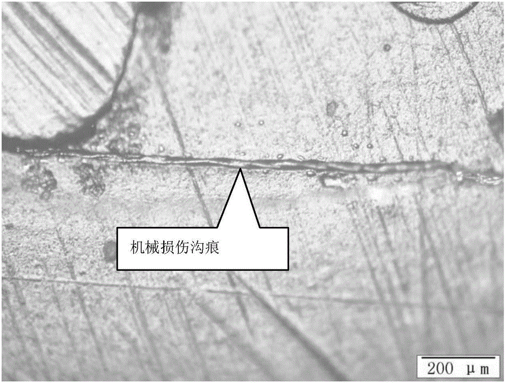 Non-destructive metal surface defect microscopic detection method