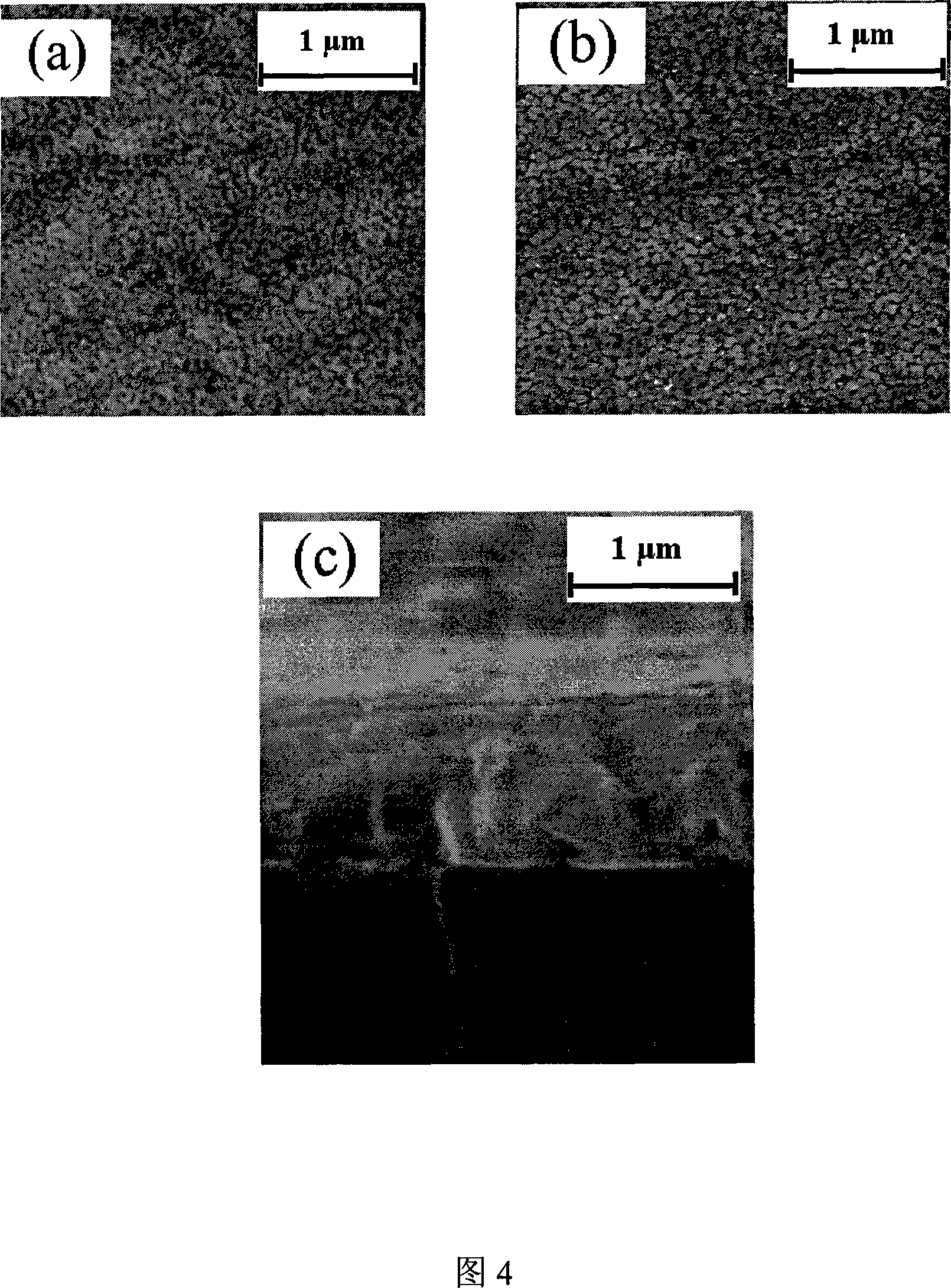 Epitaxy strontium lead titanate film with LiNiO2 cushioning layer