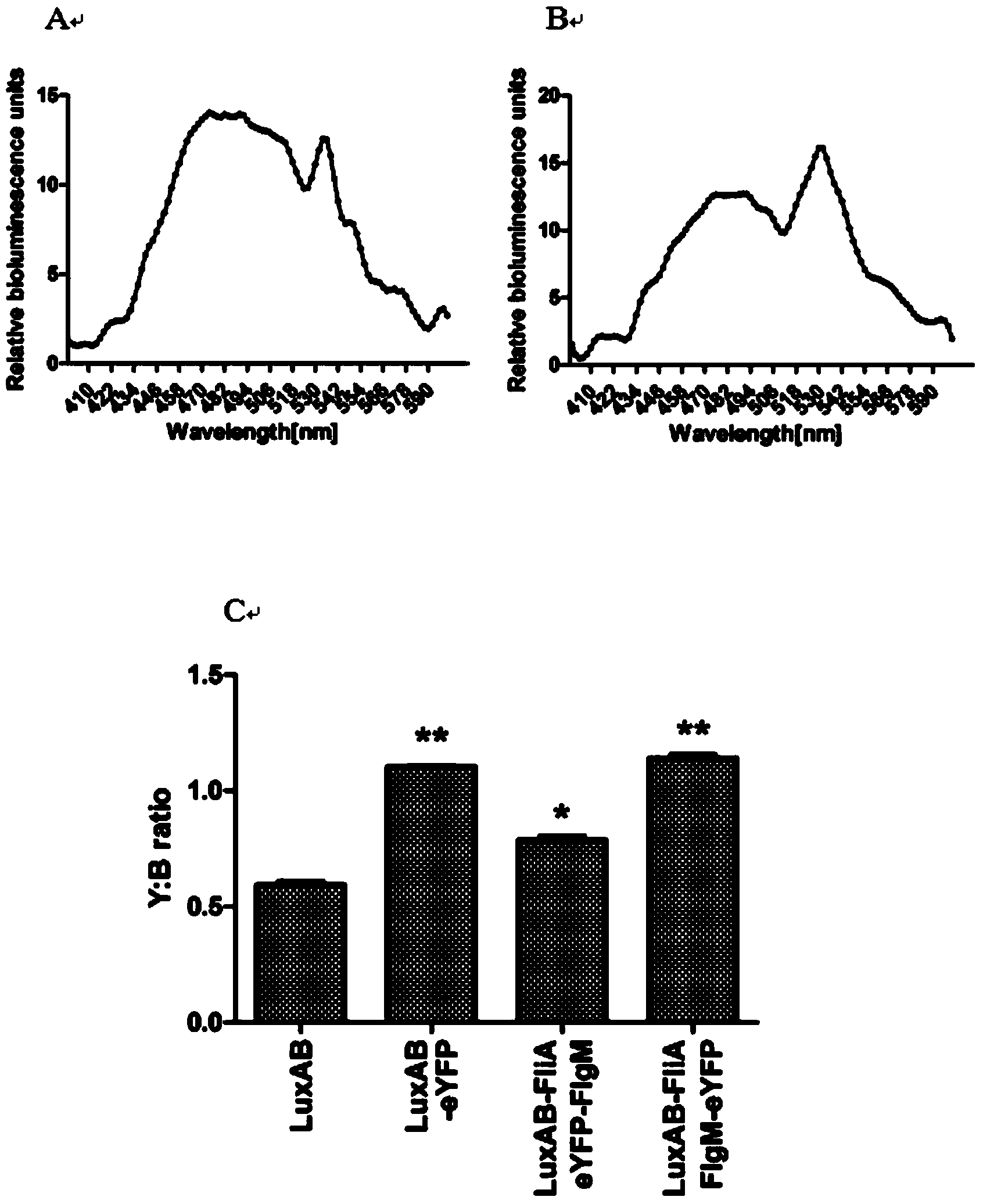 Method for detection of protein-protein interaction through a BRET technology based on bacterial Luciferase