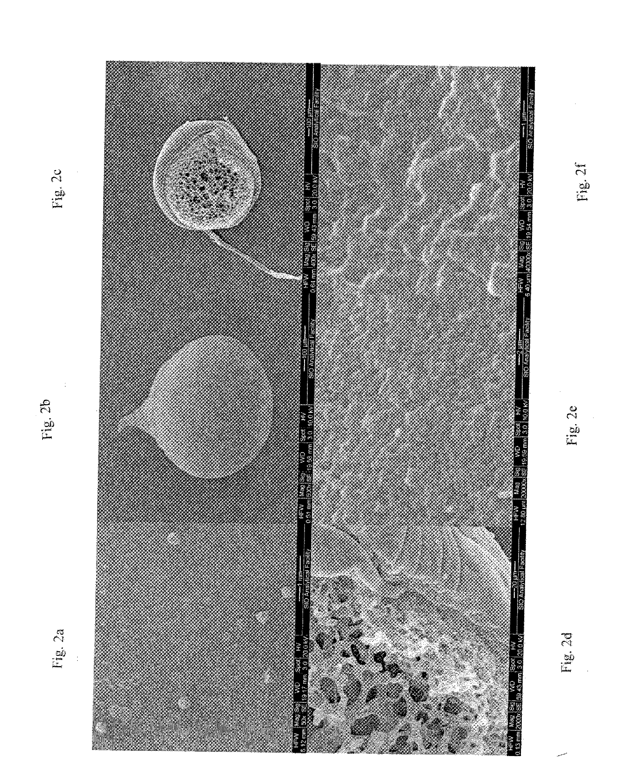 Porous intravascular embolization particles and related methods